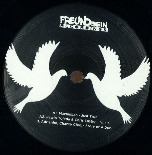 Freundsein:Various Artists 001 (vinyl Onyl) w. Adrianho & Chazzy Chaz